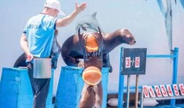 海底世界cf最新爆料,CF最新爆料揭秘海底世界新篇章