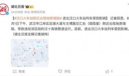 武汉最新新闻爆料事件,神秘事件引发社会关注