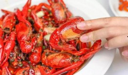龙虾最新爆料是真的吗,真相揭秘，是真是假？